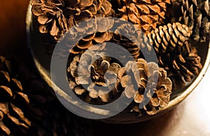 Pine cones in Pottery Bowl