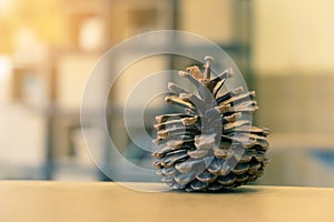 Pine cones on the table