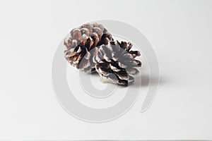 2 pine cones on a white table