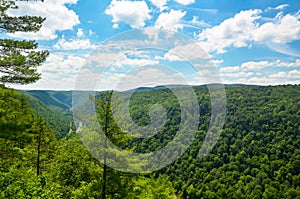 Pine Creek Gorge, the Grand Canyon of Pennsylvania.