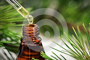 Pine essential oil dripping from pipette