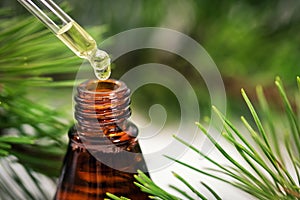 Pine essential oil dripping from pipette photo
