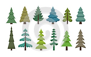 Pine and fir trees set in flat style