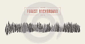 Pine forest background, vector drawn, sketch