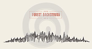 Pine forest background vector drawn sketch