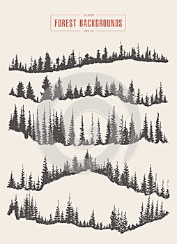 Pine forest background vector drawn sketch