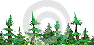 Pine forest. Coniferous spruce trees. Landscape cartoon style. Seamless horizontal illustration. Isolated on white