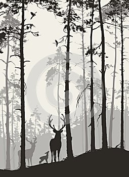 Ð° pine forest with a family of deer and birds