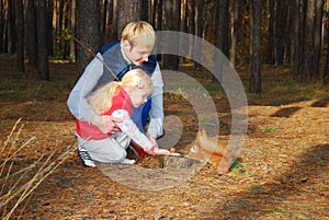 In the pine forest father and daughter feed a squirrel nuts.