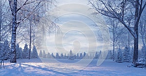 Pine forest in the foggy winter night