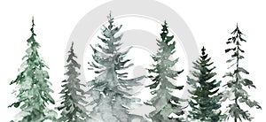 Pine forest graphics. Watercolor evergreen trees illustration, isolated on white background. Hand-painted natural landscape