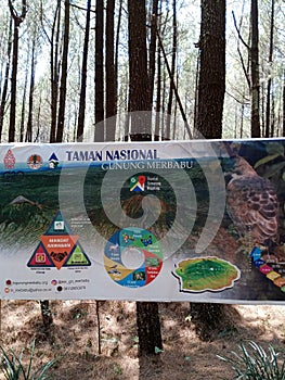 pine forest information sign in Mount Merbabu National Park