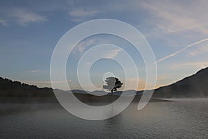 Pine forest island and shrubs refection on the lake at dawn with magic of the sky and clouds part 3