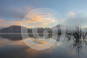 Pine forest island and shrubs refection on the lake at dawn with magic of the sky and clouds part 4