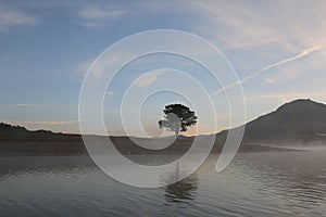 Pine forest island and shrubs refection on the lake at dawn with magic of the sky and clouds part 4