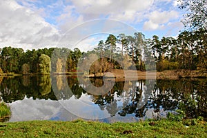 Pine forest on the lake with reflection in water