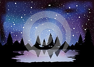 pine forest landscape illustration at night time