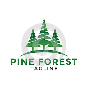 Pine forest logo icon design template vector illustration