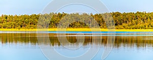 Pine forest panorama reflected in the lake
