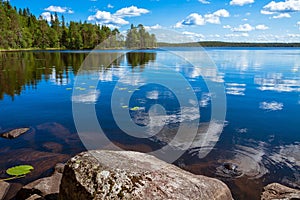 Pine forest reflection in the lake