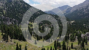 Pine forest, rocks and mountains valley landscape aerial view. Beautiful wild nature of Turkey