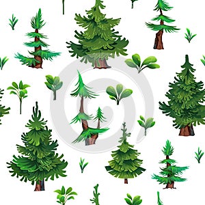 Pine forest Seamless pattern. Coniferous spruce trees. Landscape cartoon style. Isolated on white background. Young