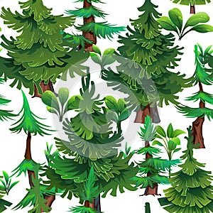 Pine forest Seamless pattern. Spiny plants. Coniferous spruce trees. Landscape cartoon style. Isolated on white