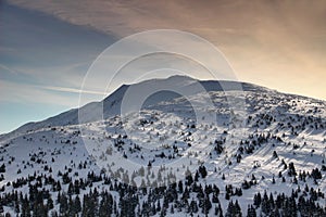 Pine forest and snowfields on slopes of Babia Gora peak Poland