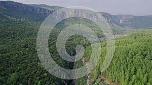 Pine forest and steep cliffs. Mountain landscape in Turkey canyon Tazy. Amazing aerial view  video