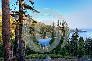 Pine forest surrounding Emerald Bay at Lake Tahoe, California, U