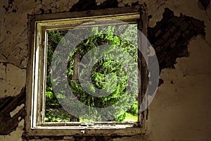 a pine forest visible through the broken walls