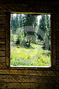 a pine forest visible through the broken walls