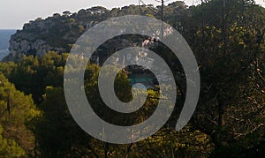 Pine Forest Through You Can See The Cala Macarella In Citadel On The Island Of Menorca. July 5, 2012. Menorca, Balearic Islands,