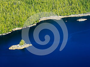 Pine Forrest along Coastal Line, an Small Island w