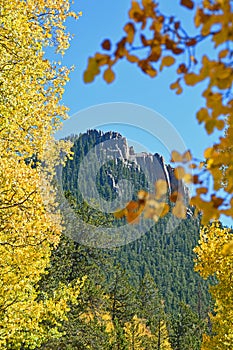 A Pine Hill Framed by Gold Apsens