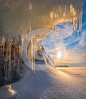 Pine in the ice. A small tree in the winter.