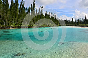 Pine Island Baie Oro Natural pool