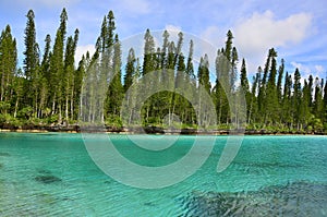 Pine Island Baie Oro natural pool of the lagoon