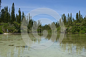 Pine Island Baie Oro New Caledonia