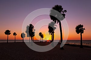 Pine Island florida, clear sunset silhouette