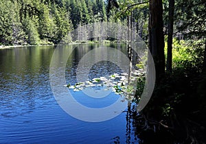 Pine Lake in early summer on Chuckanut mountain