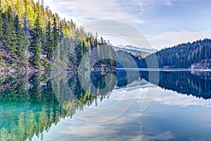 Pine lake mountain  Inverted reflection in water