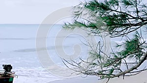 Pine leaves that move with the wind Fisherman\'s boat moored on the beach and the sea waves that blow in.