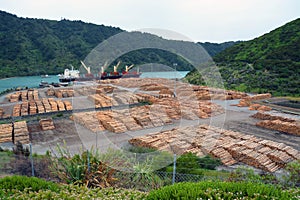 Pine Log Exporting at Picton, New Zealand photo