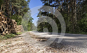 pine logs lie along a country road in the forest