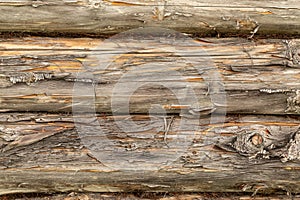 Pine logs. Log wall Texture of natural pine logs. Brown natural wood texture