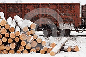 Pine logs on the railroad platform in winter