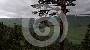 Pine of the mountains of the Caucasus Mountains, rising clouds snow in places.