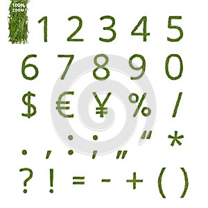 Pine needle numbers and marks