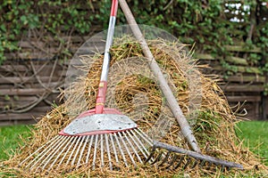 Pine needles were raked together in a heap photo